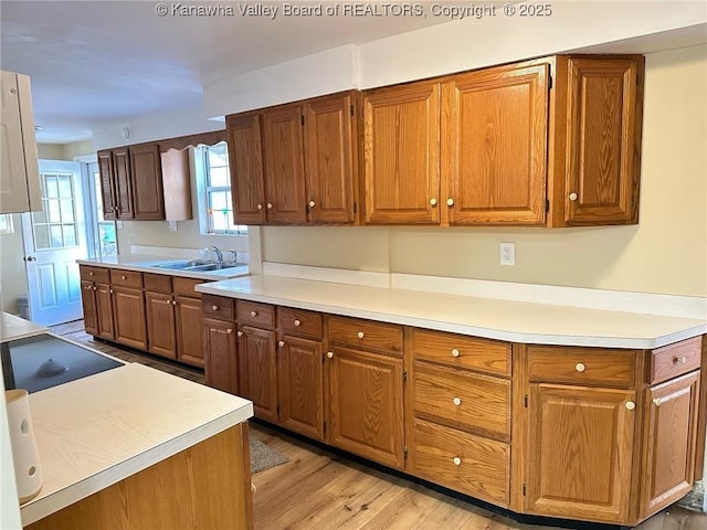 kitchen featuring light countertops, light wood finished floors, and a sink