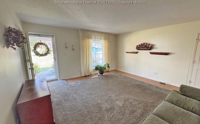 living area featuring wood finished floors