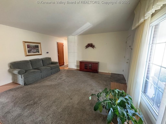 living area with carpet floors and baseboards