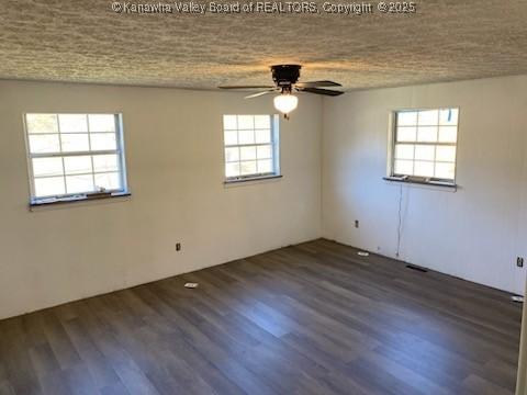 unfurnished room with ceiling fan, a textured ceiling, wood finished floors, and a wealth of natural light