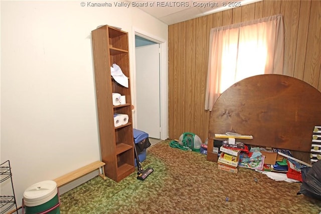 interior space featuring wood walls and carpet