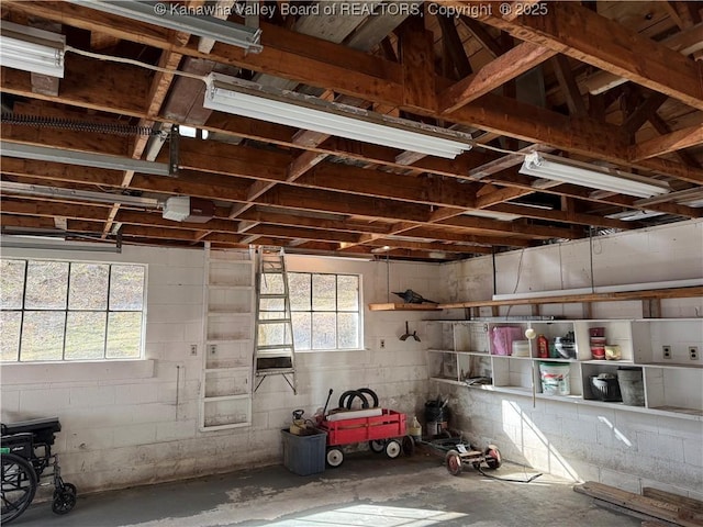 basement with a garage and concrete block wall