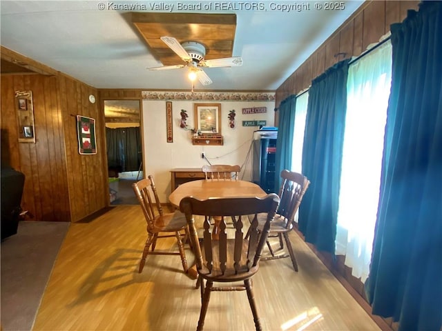 dining space featuring light wood-type flooring, wooden walls, and a ceiling fan