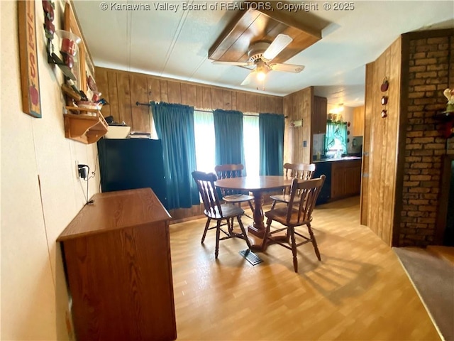 dining space with light wood finished floors, a ceiling fan, and wood walls