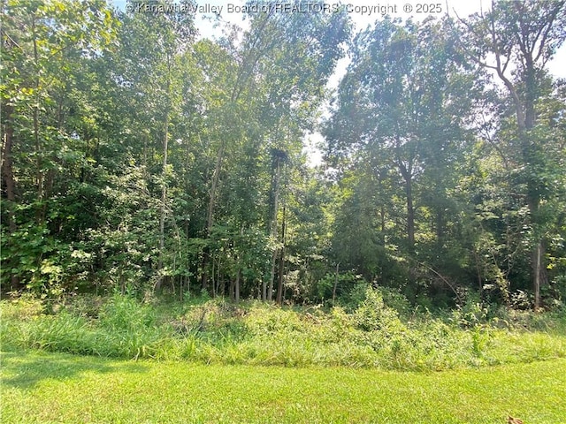 view of local wilderness with a forest view