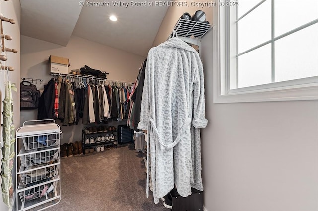 walk in closet featuring carpet flooring