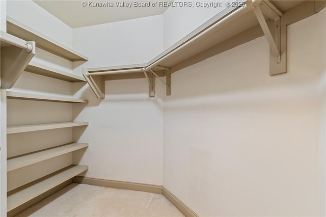 spacious closet with carpet flooring