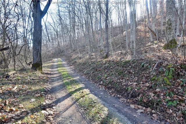 0 Tom Allen Ln, Leon WV, 25123 land for sale