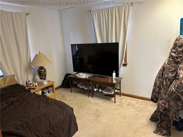 carpeted bedroom with crown molding