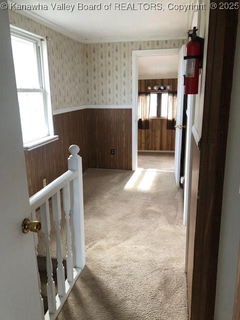 hall featuring an upstairs landing, wallpapered walls, plenty of natural light, carpet flooring, and wainscoting