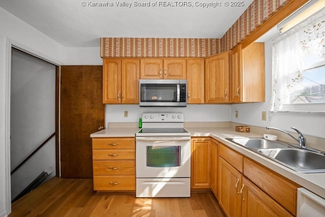 kitchen with white appliances, light countertops, light wood finished floors, and a sink