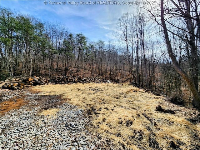 0 Indian Creek Rd, Pinch WV, 25071 land for sale