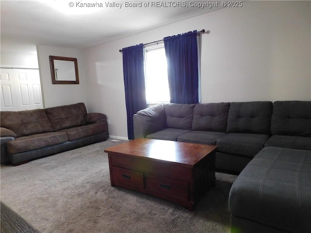 view of carpeted living area