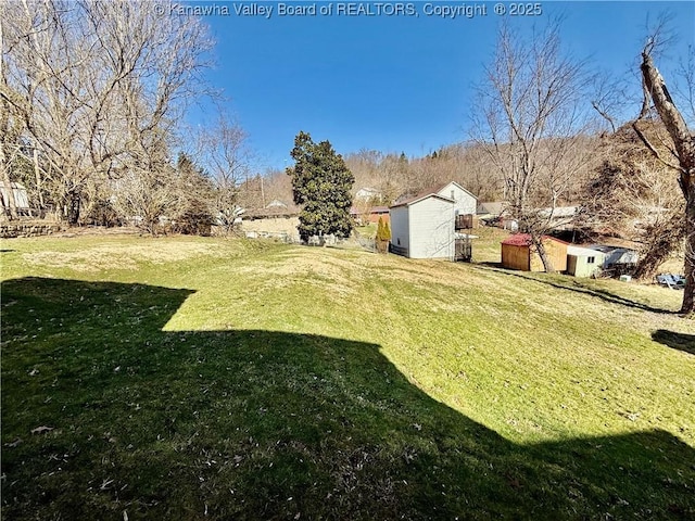 view of yard featuring a storage shed and an outdoor structure