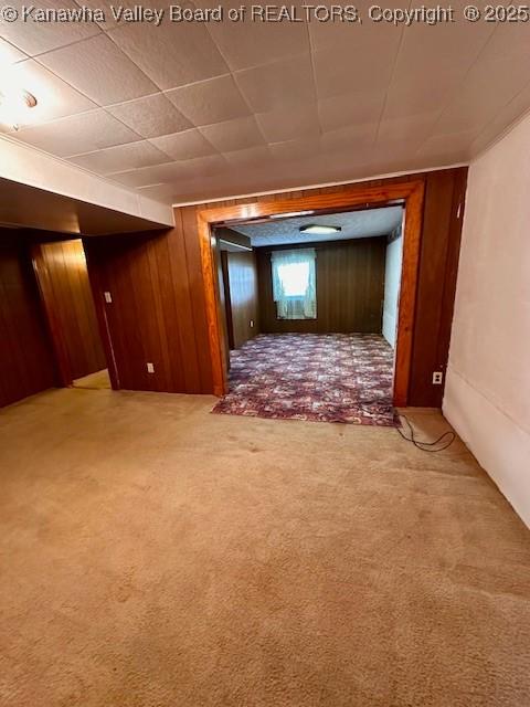 interior space with wood walls and carpet floors