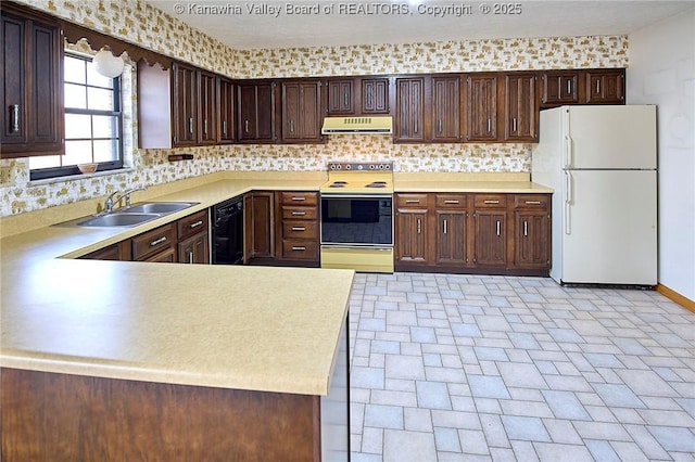 kitchen with ventilation hood, dark brown cabinetry, light countertops, white appliances, and a sink