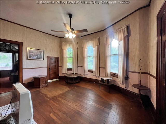 miscellaneous room with a wealth of natural light, hardwood / wood-style floors, and ornamental molding