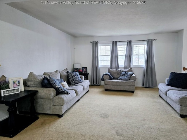 view of carpeted living area