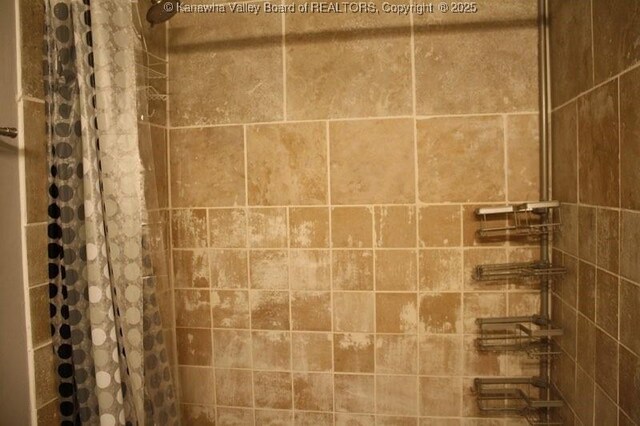 2106 Kanawha Blvd E Unit 601, Charleston, WV 25311 - interior details with a tile shower