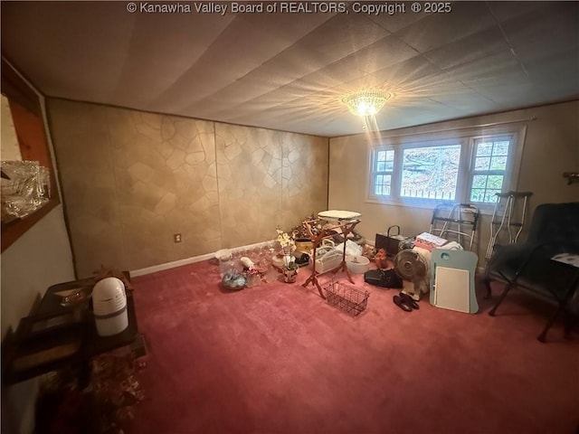 miscellaneous room featuring carpet flooring