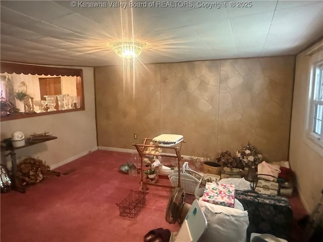 miscellaneous room featuring baseboards and carpet floors