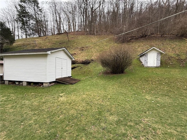 view of yard featuring an outdoor structure and a storage unit