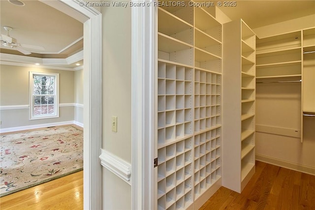 111 Graff Ln, Charleston, WV 25304 - walk in closet with wood finished floors, a ceiling fan, and a raised ceiling