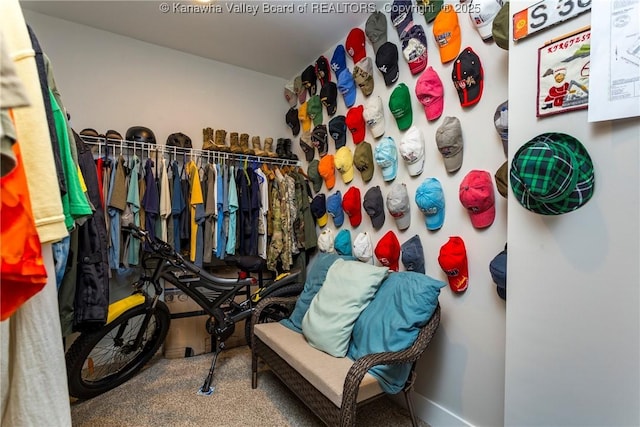 225 Woodland Dr, Milton, WV 25541 - walk in closet featuring carpet