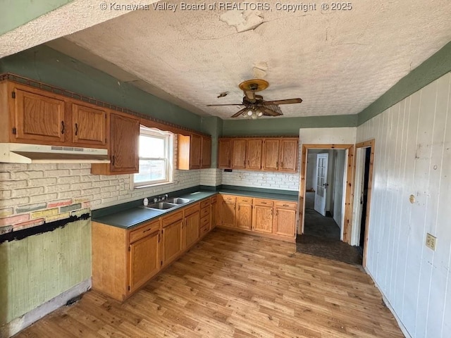 2509 Adams Ave, Huntington, WV 25704 - kitchen featuring under cabinet range hood, a sink, tasteful backsplash, light wood finished floors, and ceiling fan