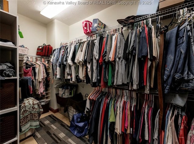 356 Latigo Pt, Milton, WV 25541 - walk in closet with carpet flooring