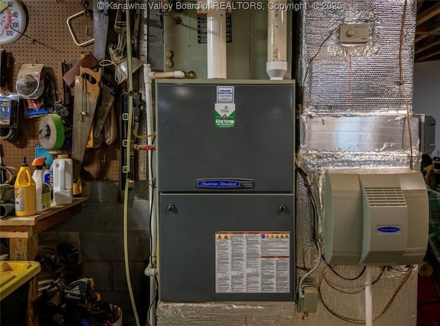 356 Latigo Pt, Milton, WV 25541 - utilities with heating unit