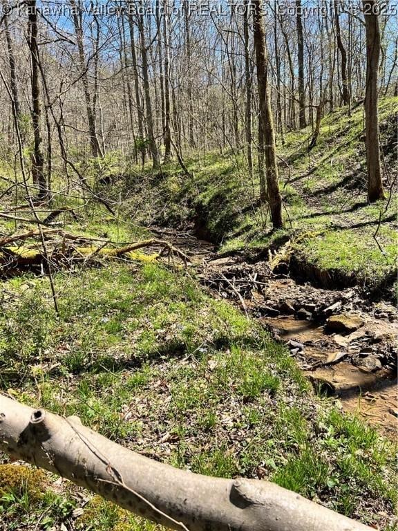 0 Tuppers Creek Rd, Sissonville, WV 25312 - photo 1