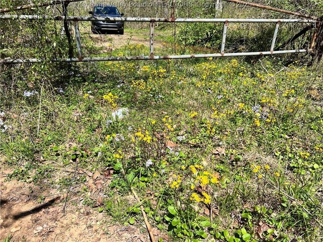 0 Tuppers Creek Rd, Sissonville, WV 25312 - photo 3