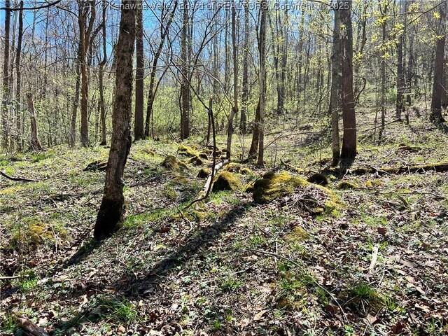 0 Tuppers Creek Rd, Sissonville, WV 25312 - photo 4