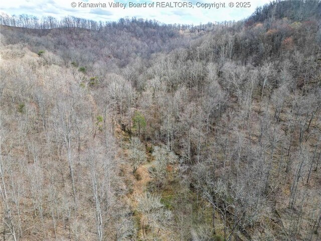 0 Tuppers Creek Rd, Sissonville, WV 25312 - photo 32