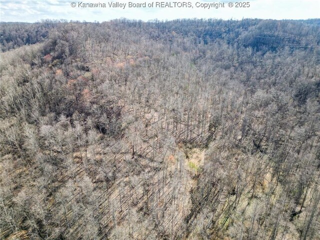 0 Tuppers Creek Rd, Sissonville, WV 25312 - photo 10