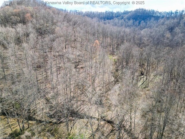 0 Tuppers Creek Rd, Sissonville, WV 25312 - photo 23