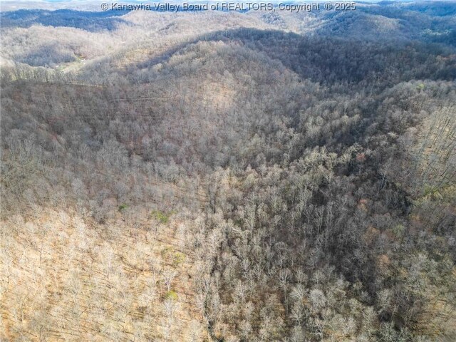 0 Tuppers Creek Rd, Sissonville, WV 25312 - photo 29
