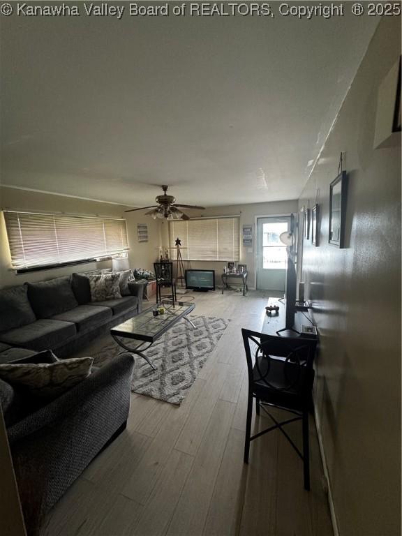living room with ceiling fan and wood finished floors