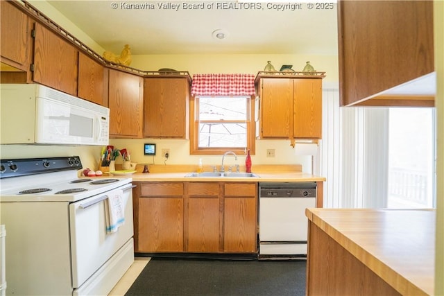 kitchen featuring light countertops, a sink, brown cabinetry, and white appliances