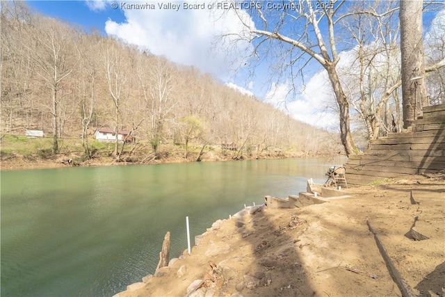 property view of water