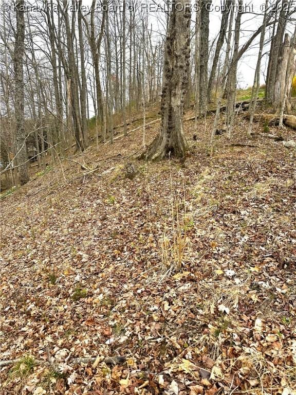 38 Coventry Woods, South Charleston, WV 25309