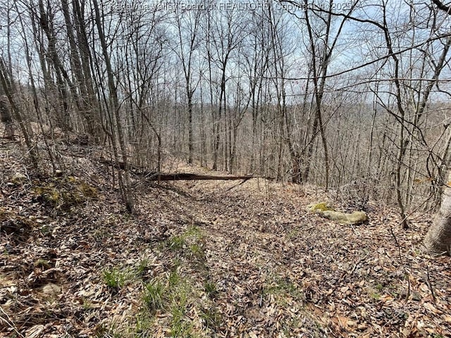 0 Wade Adkins Branch Rd, Kiahsville, WV 25512