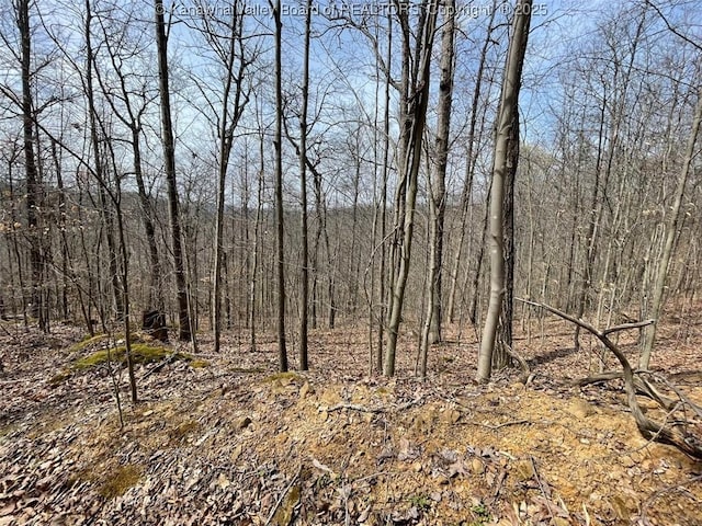 0 Wade Adkins Branch Rd, Kiahsville, WV 25512