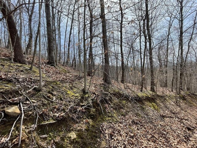 0 Wade Adkins Branch Rd, Kiahsville, WV 25512