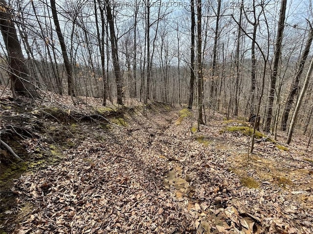 0 Wade Adkins Branch Rd, Kiahsville, WV 25512