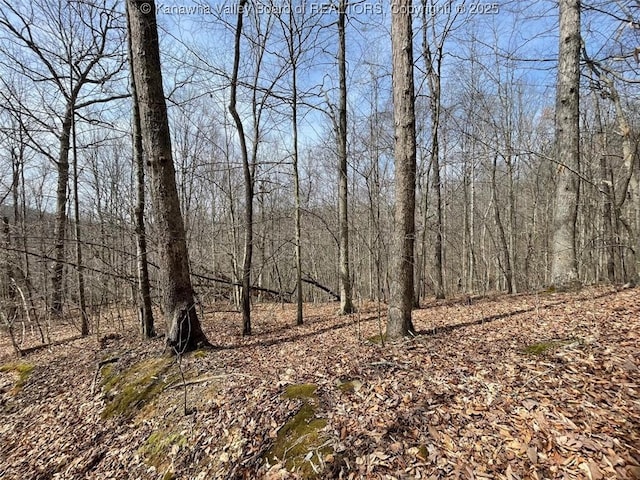 0 Wade Adkins Branch Rd, Kiahsville, WV 25512