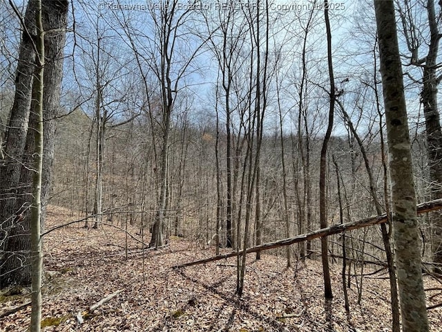 0 Wade Adkins Branch Rd, Kiahsville, WV 25512