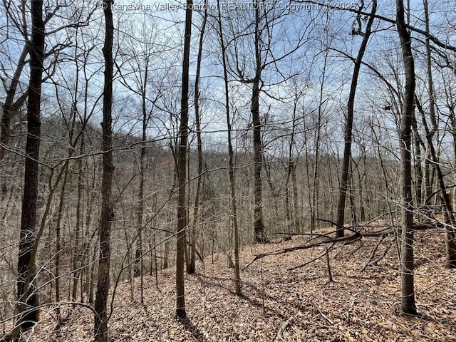0 Wade Adkins Branch Rd, Kiahsville, WV 25512