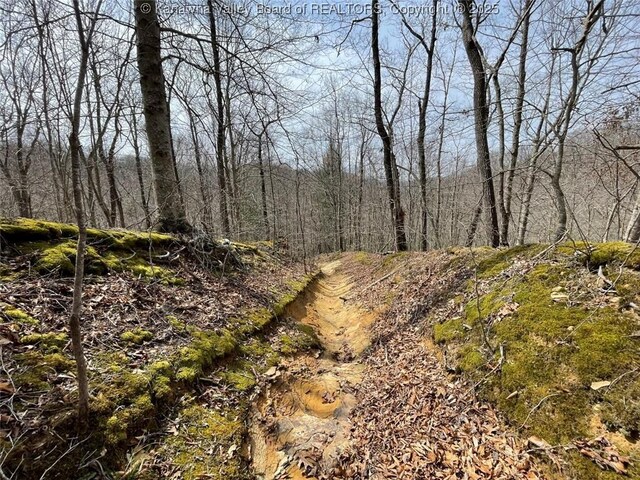 0 Wade Adkins Branch Rd, Kiahsville, WV 25512